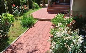 Apartman Luka Zadar